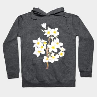 white Plumeria  frangipani flowers  ink and watercolor Hoodie